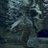0x_Wyrm
