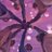 AcrosstheVerse7