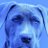 BluDogDay