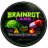 Brainrot_Labs