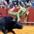 BullfightCap