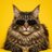 CatCartelX