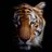 ChemETiger97