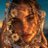 CifrBunny