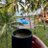 Coffee4Life365