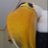 Connorkilgore_