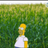 CornFieldsOne