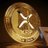 CryptoKelvin12