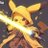 Dangerously_Ben