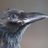 DanielCrow75474