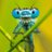 DannyMark_1525