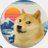 DogecoinFool