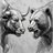 Dragonito007