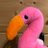 EarlTheFlamingo