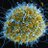 Ebola_Updates