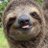 Faultierchen