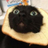 FelixAmazonCat