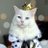 FluffyCat_XYZ