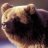 FuzzyBe02910905