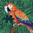 Gmailaccount956