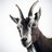 GoatIsTalking