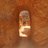 Goldbug_101