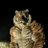 HighTigerArt