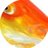IzDizFish