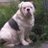 JW_Maine_207
