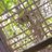 MHaseeb40694