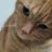 MyPetMonster