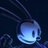 My_Echo4