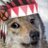 NativeDoge