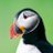 PERSECthePuffin