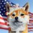 PUZZLEDOGE