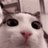 PlinkMeows