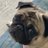 Pugfunance