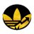RealFORTES