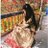 Rupal_14