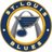 STLCardfan2013
