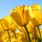 SanjayMeen11719