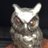 SmallMetalOwl