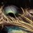SoothSpider