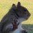 Squirrel_Hand