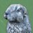 StillBRS