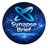Synapse_Brief