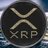 TDog_xrp