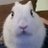 Tawster_Tawney