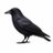 TheCrow_Alert