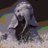 TheElephante